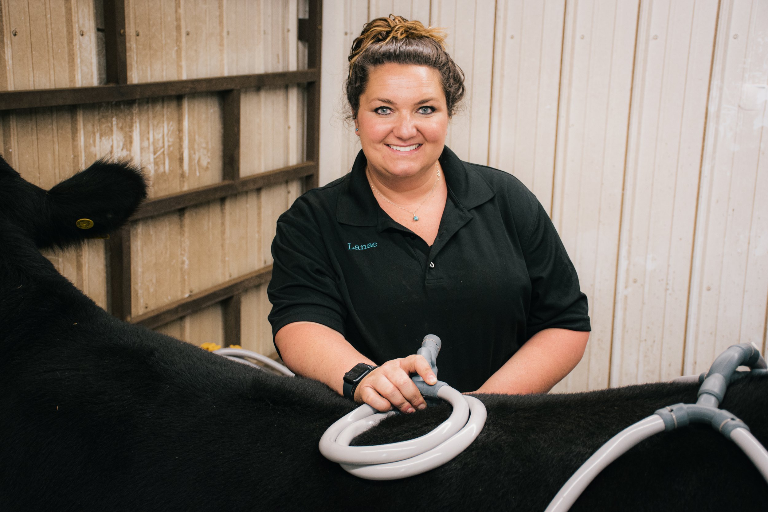 Kline Performance Equine